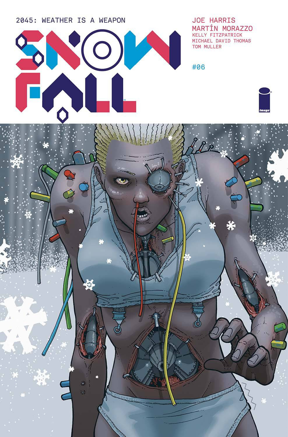 Snow Fall  (2016) #6